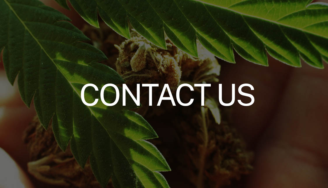 contact copy
